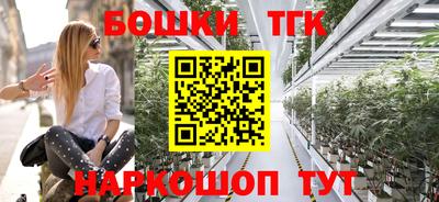 шишки Шелехов