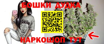 шишки Шелехов