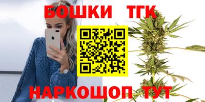 шишки Шелехов