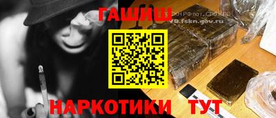 шишки Шелехов