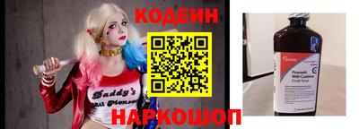 шишки Шелехов